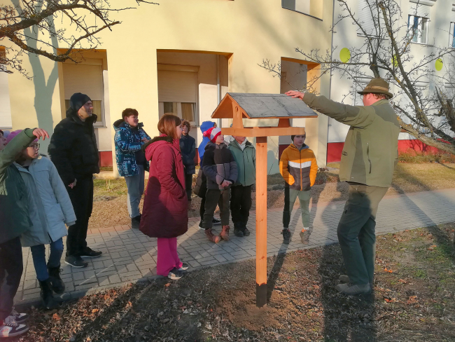 Uj madaretetot kaptunk